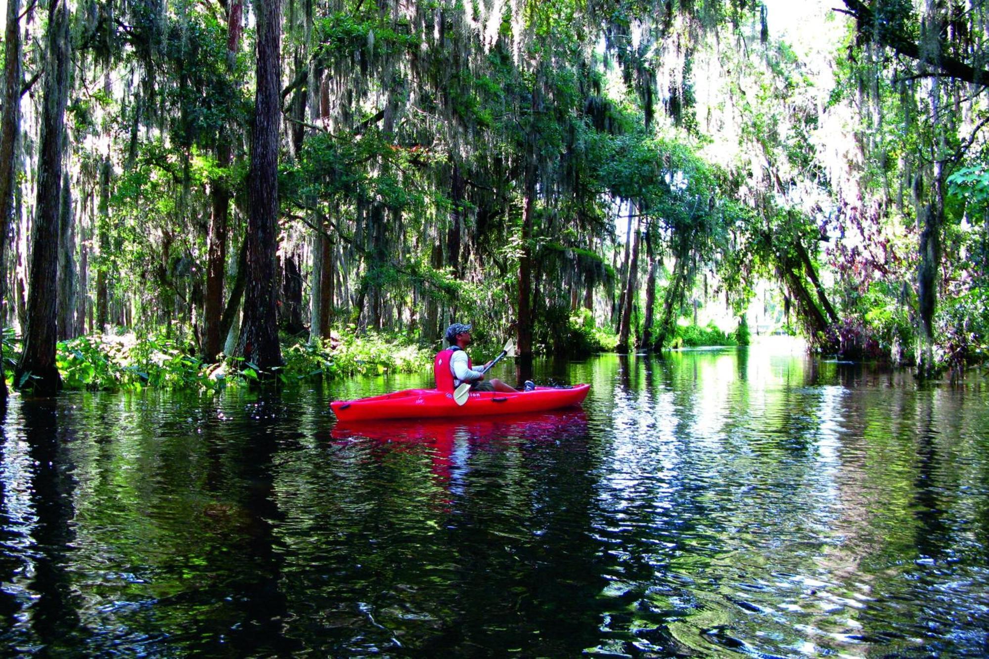 Jw Marriott Orlando Grande Lakes Williamsburg Luaran gambar